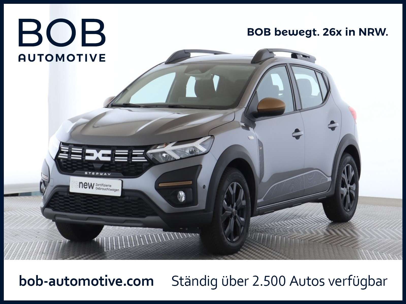 Fahrzeugbild eines Dacia Sandero