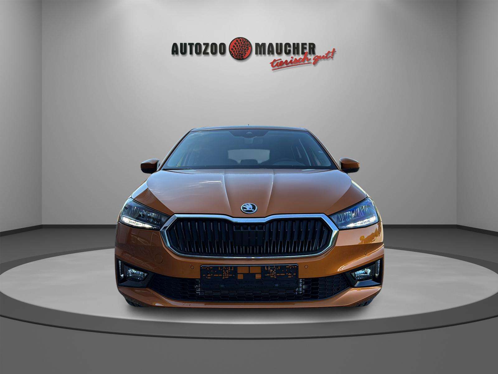 Fahrzeugbild eines Skoda Fabia