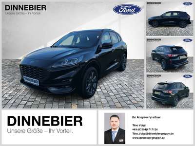 Bild Ford Kuga