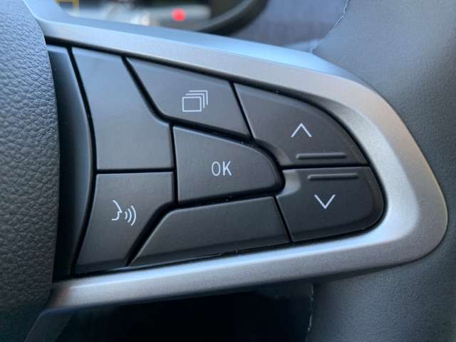 Fahrzeugbild eines Dacia Jogger