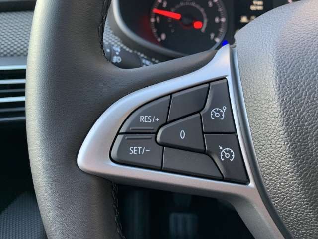 Fahrzeugbild eines Dacia Sandero