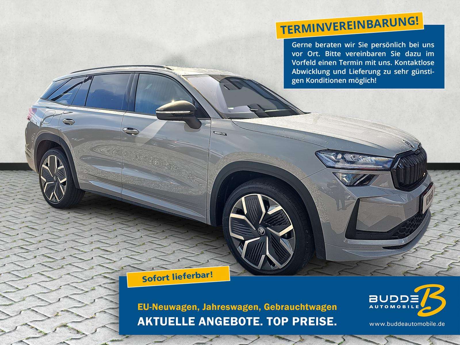 Fahrzeugbild eines Skoda Kodiaq