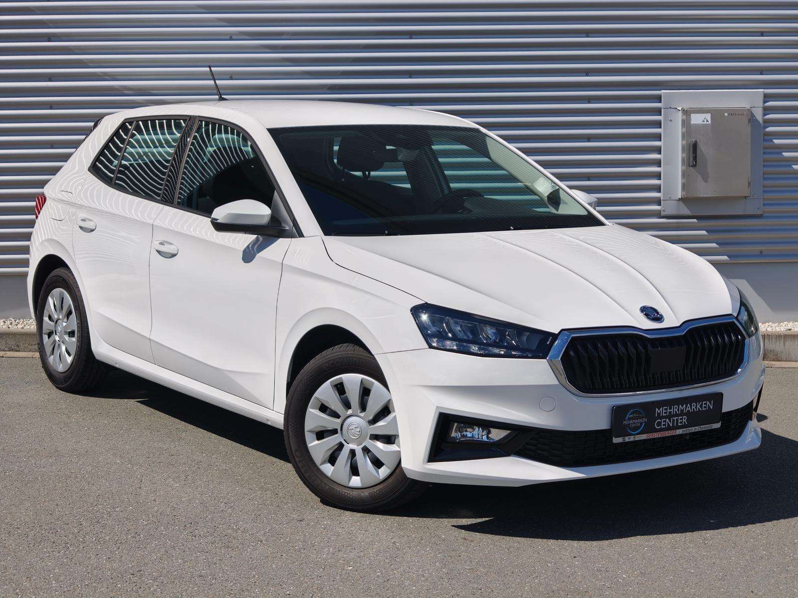 Fahrzeugbild eines Skoda Fabia