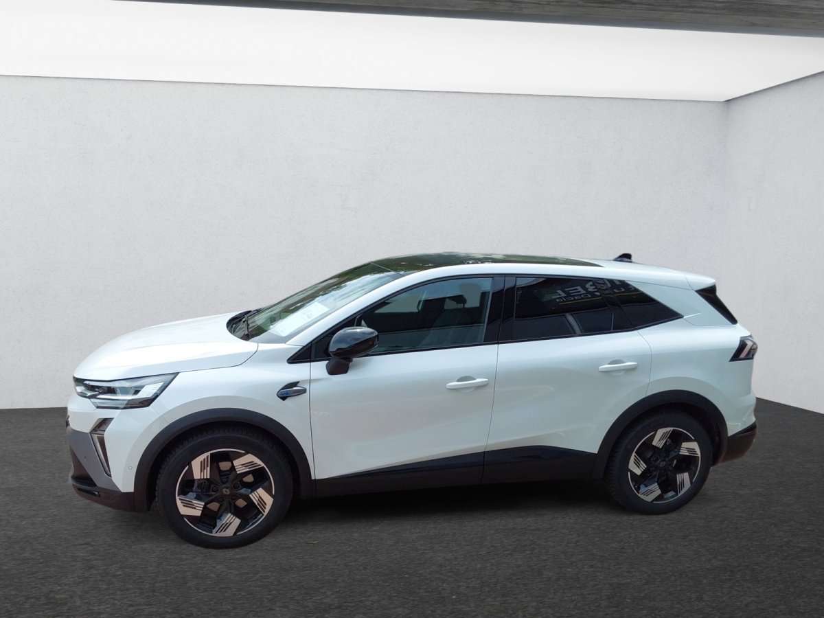 Fahrzeugbild eines Renault Symbioz
