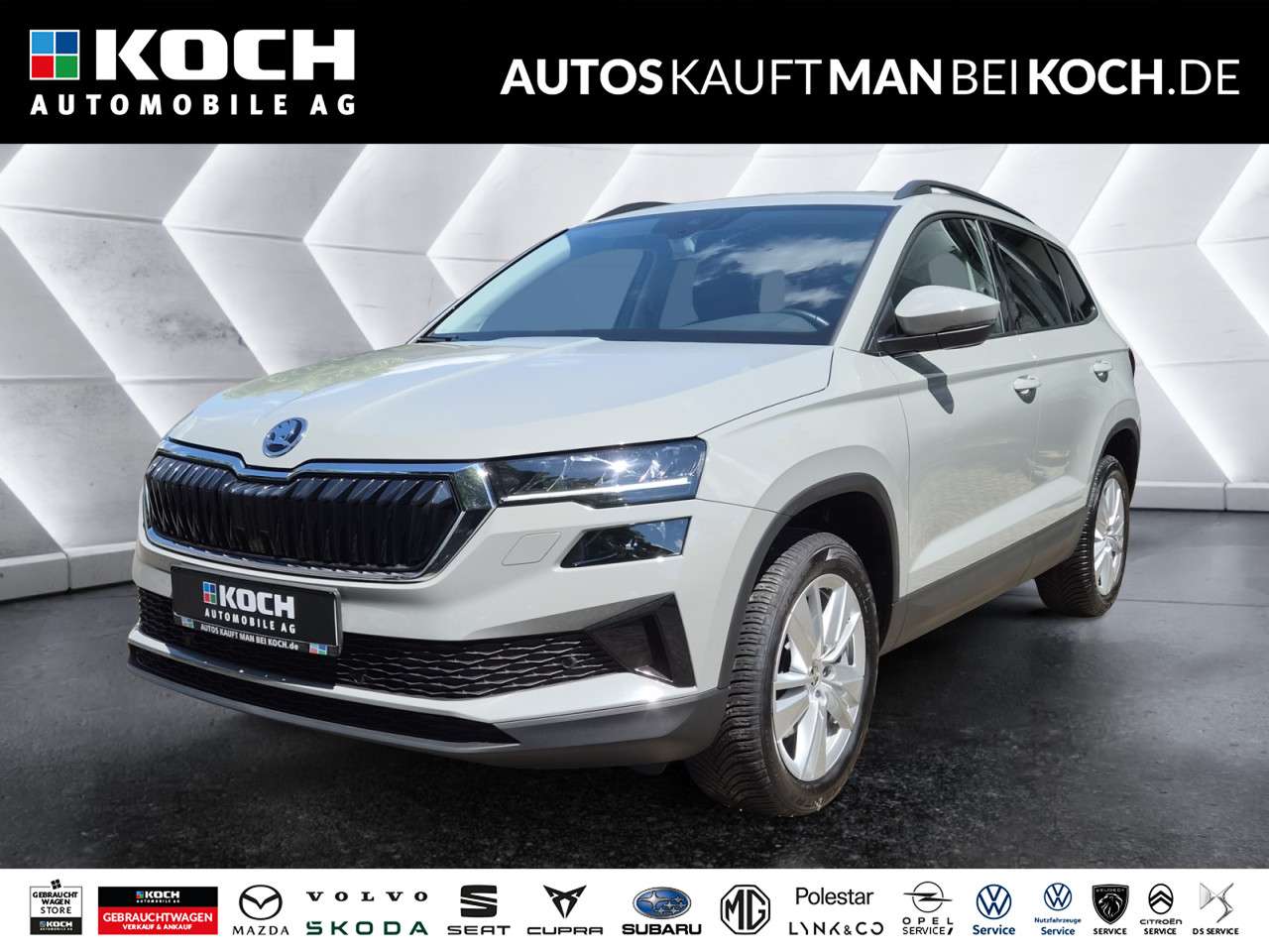 Fahrzeugbild eines Skoda Karoq