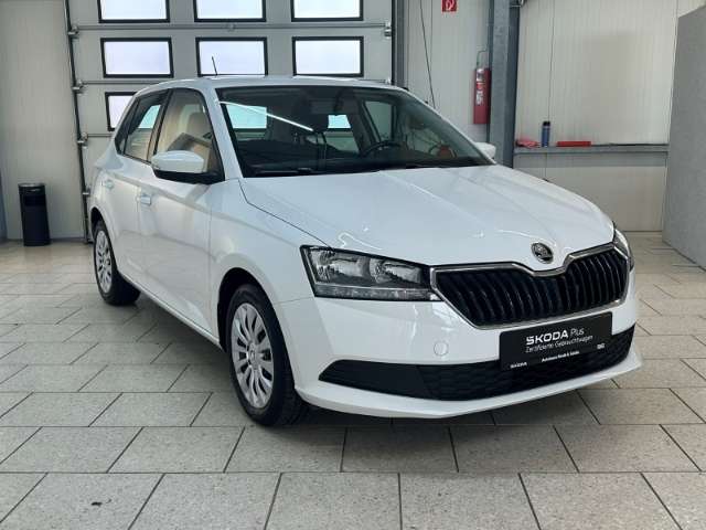 Fahrzeugbild eines Skoda Fabia