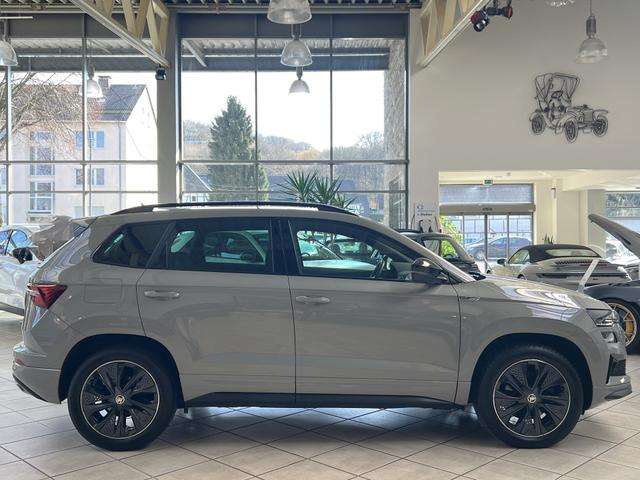 Fahrzeugbild eines Skoda Karoq