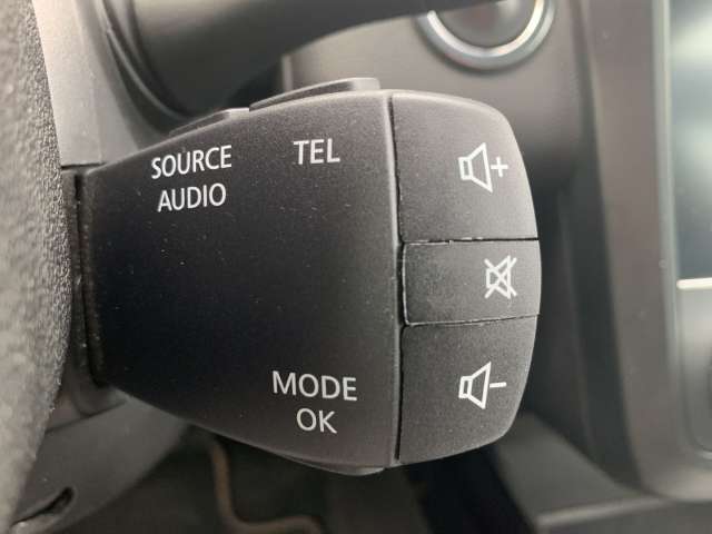 Fahrzeugbild eines Renault Kadjar