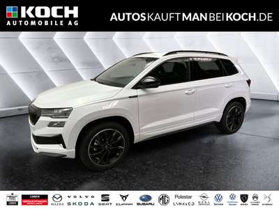 Bild Skoda Karoq