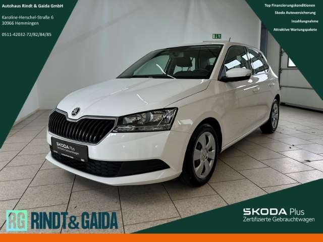 Fahrzeugbild eines Skoda Fabia