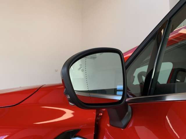 Fahrzeugbild eines Renault Symbioz