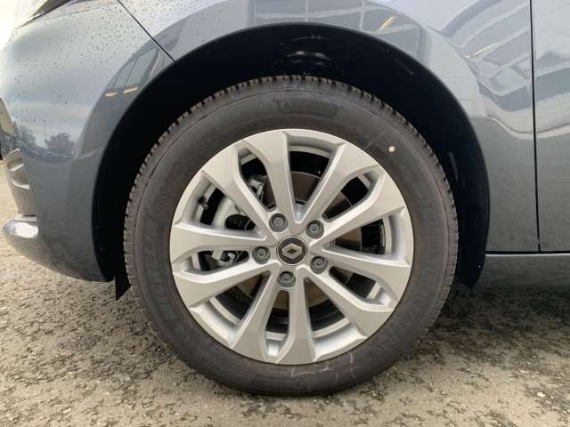 Fahrzeugbild eines Renault ZOE