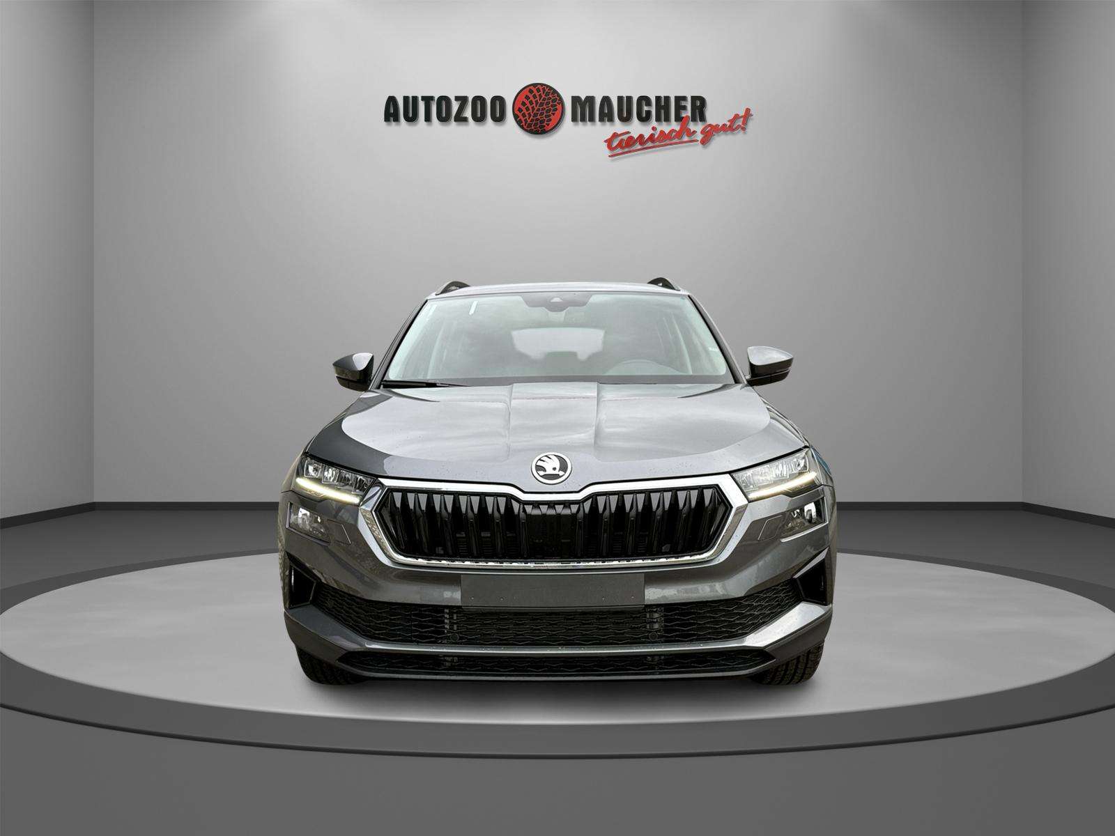 Fahrzeugbild eines Skoda Karoq