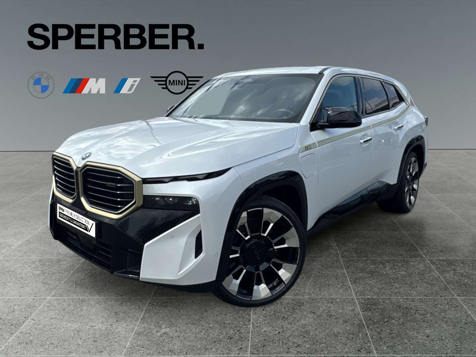 Fahrzeugbild eines BMW XM