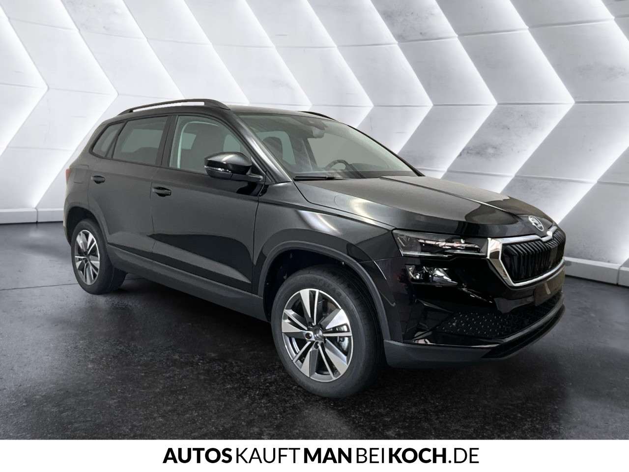 Fahrzeugbild eines Skoda Karoq