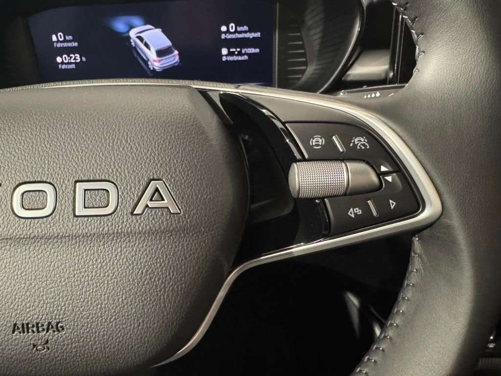 Fahrzeugbild eines Skoda Fabia