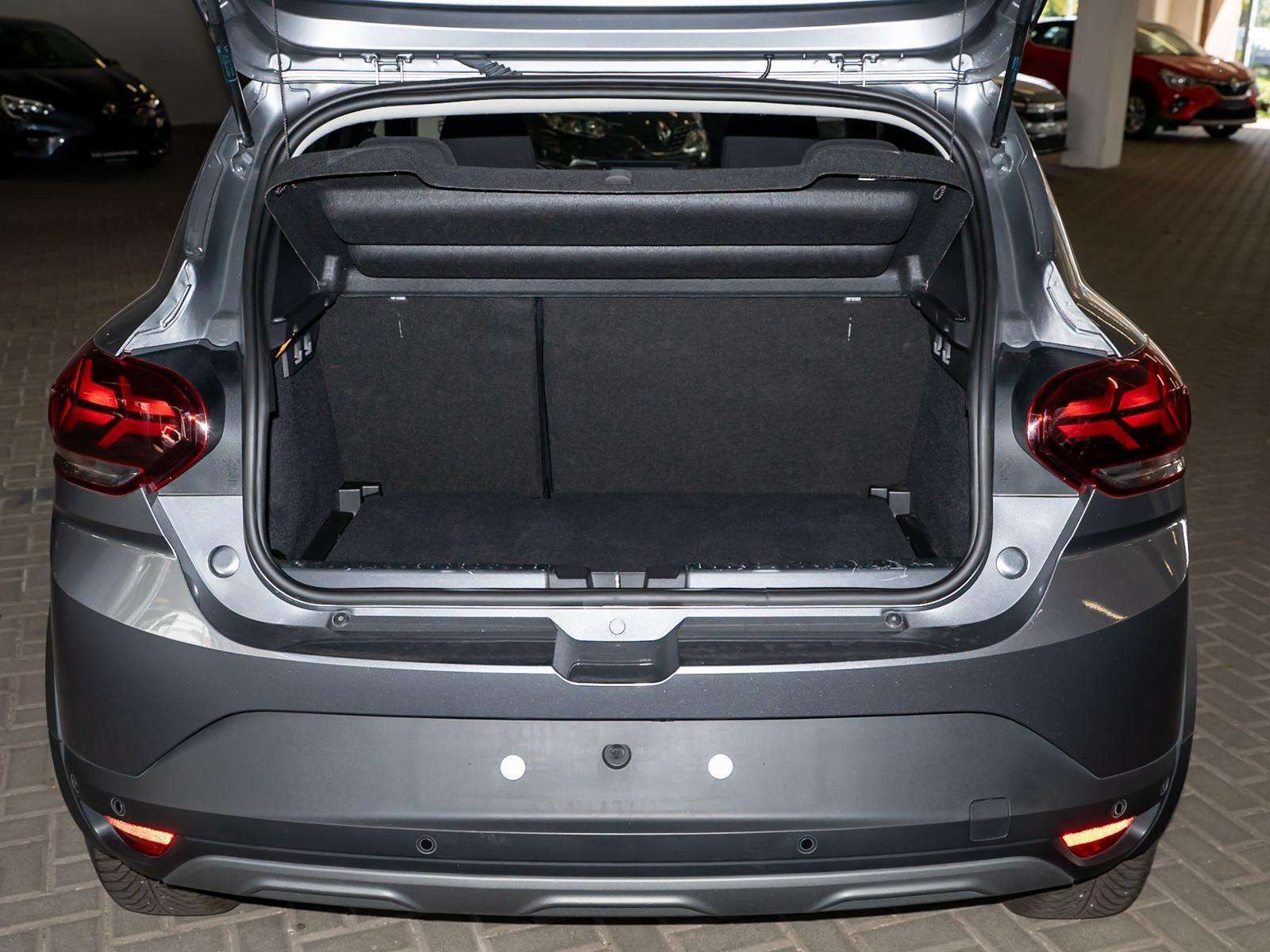 Fahrzeugbild eines Dacia Sandero