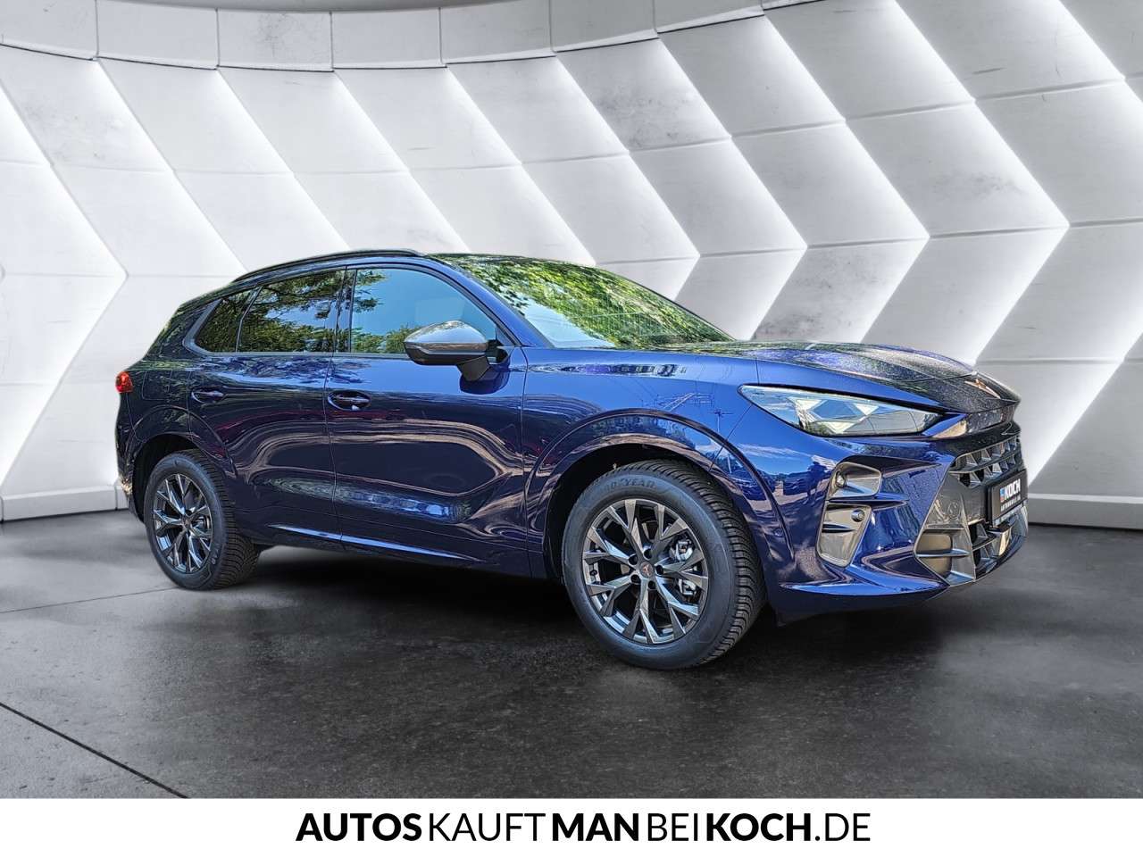 Fahrzeugbild eines CUPRA Terramar