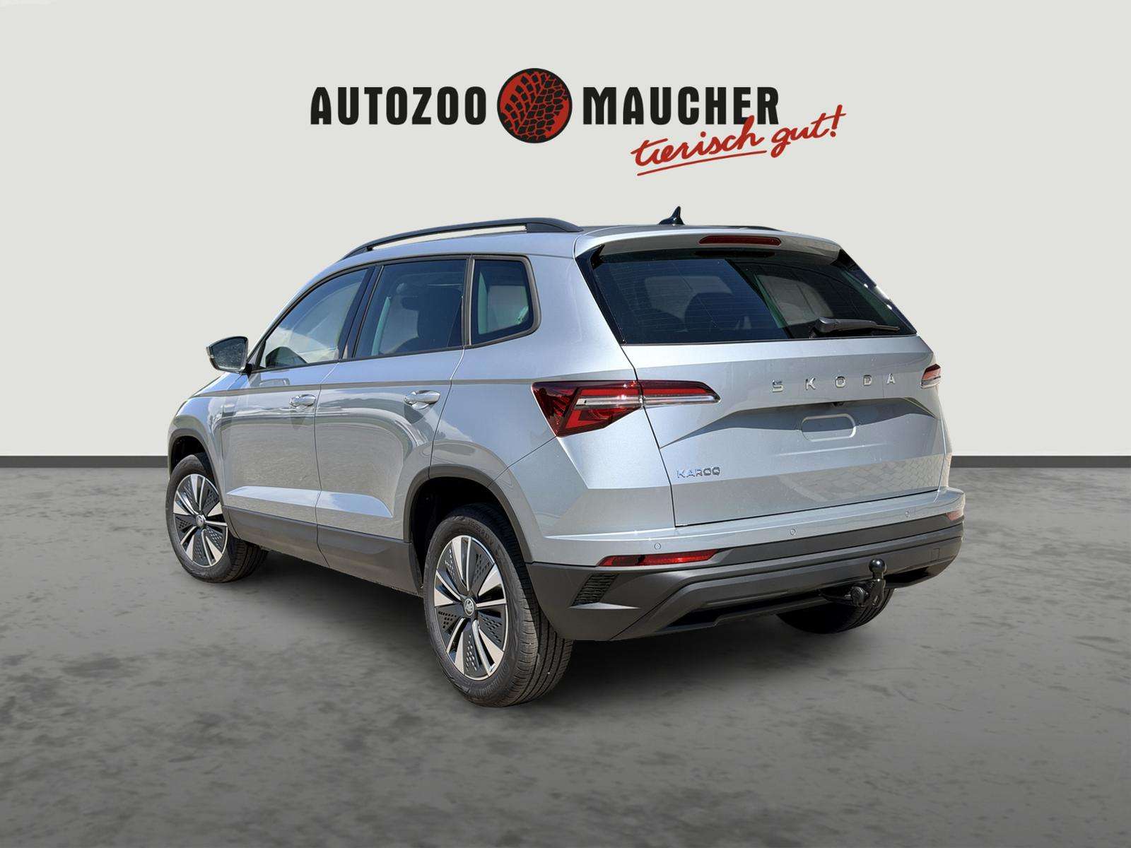 Fahrzeugbild eines Skoda Karoq