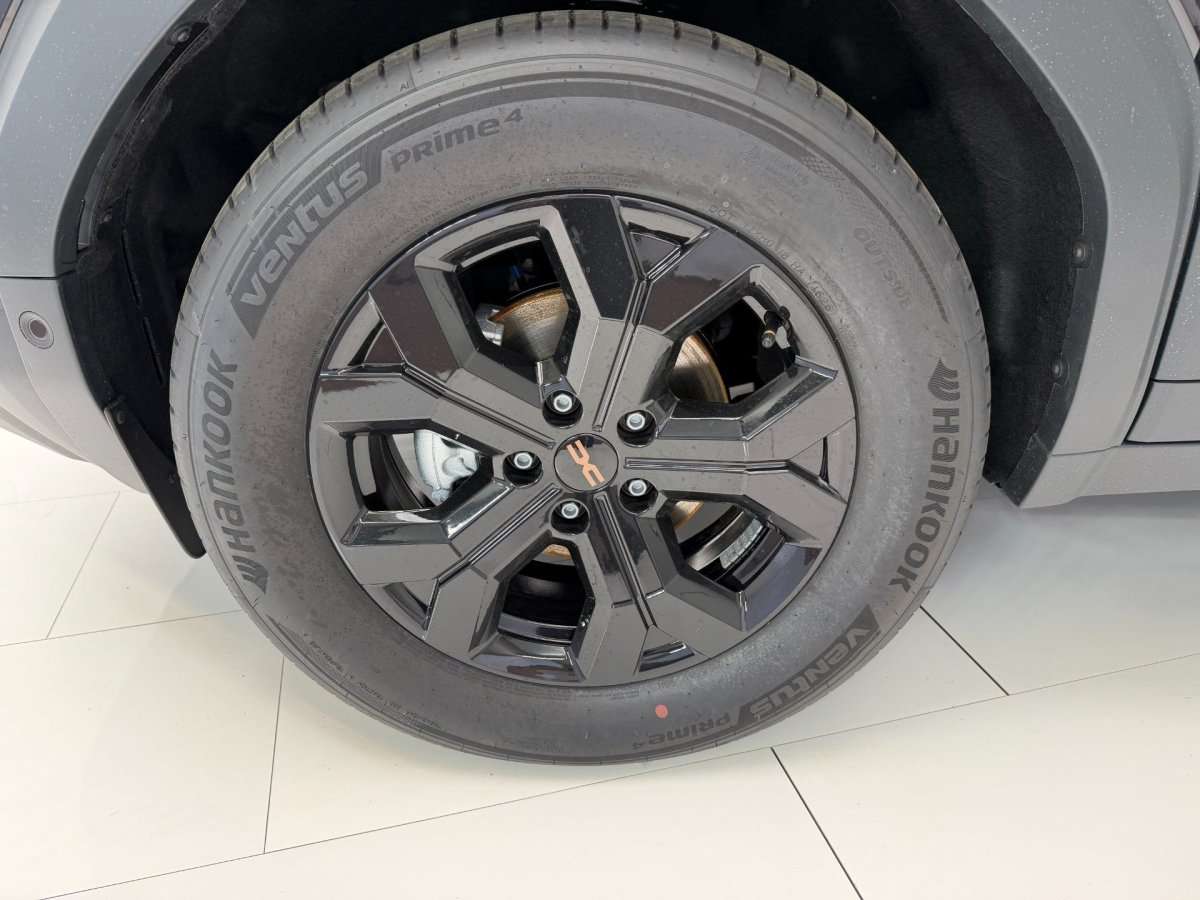 Fahrzeugbild eines Dacia Duster