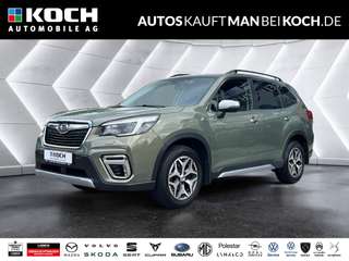 Schräge Frontansicht auf einen Subaru Forester , freigestellt