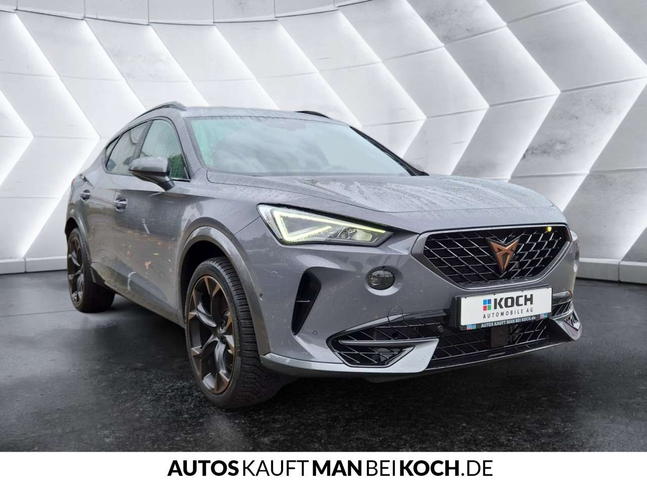 Fahrzeugbild eines CUPRA Formentor