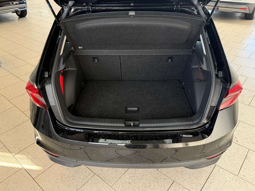Fahrzeugbild eines Skoda Fabia