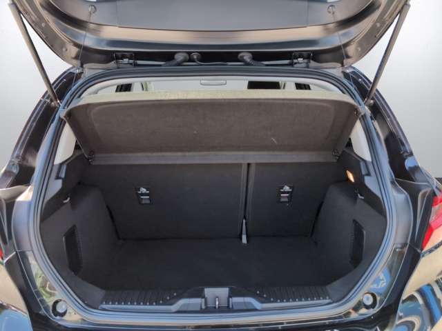 Fahrzeugbild eines Ford Fiesta