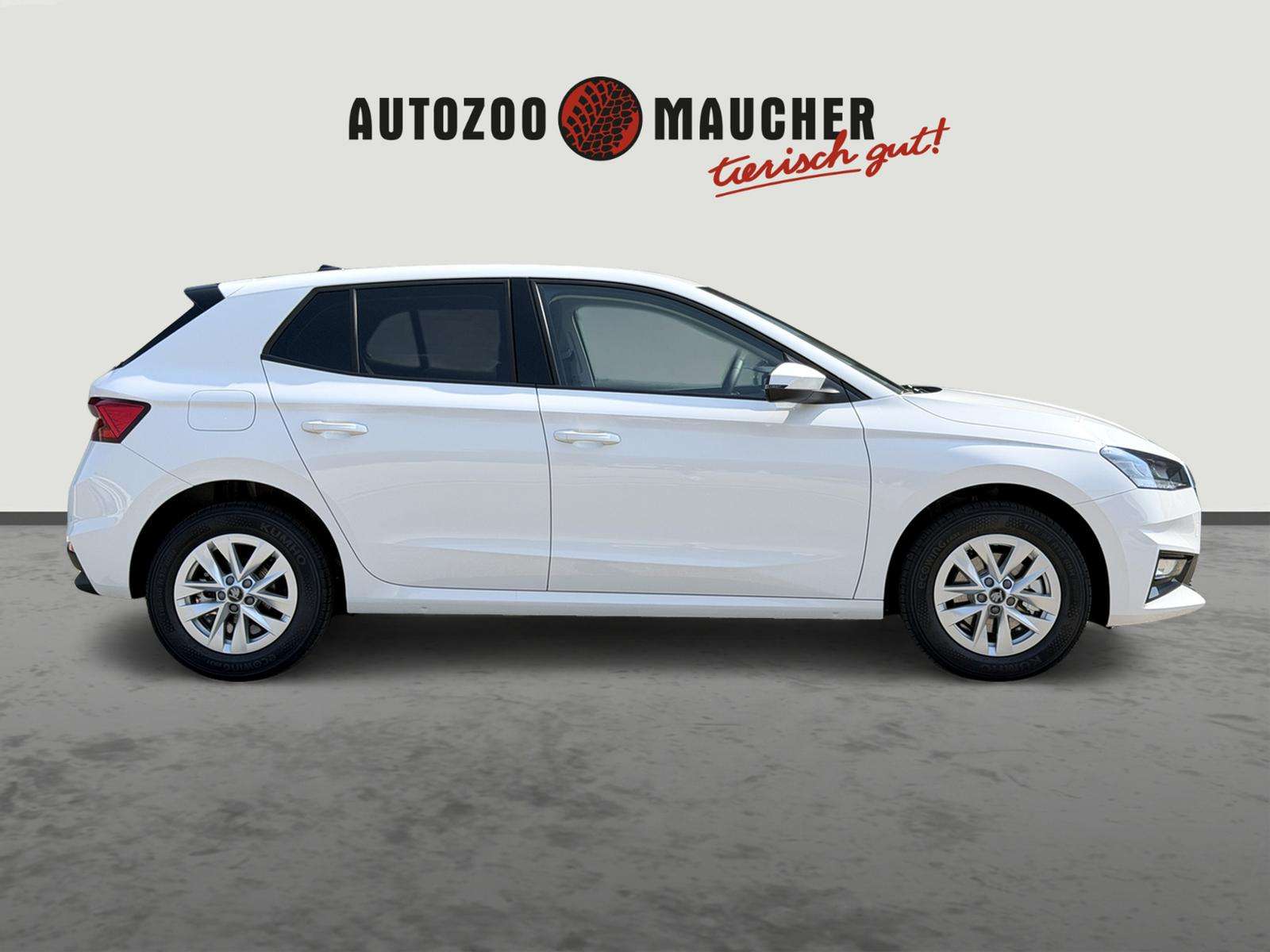 Fahrzeugbild eines Skoda Fabia