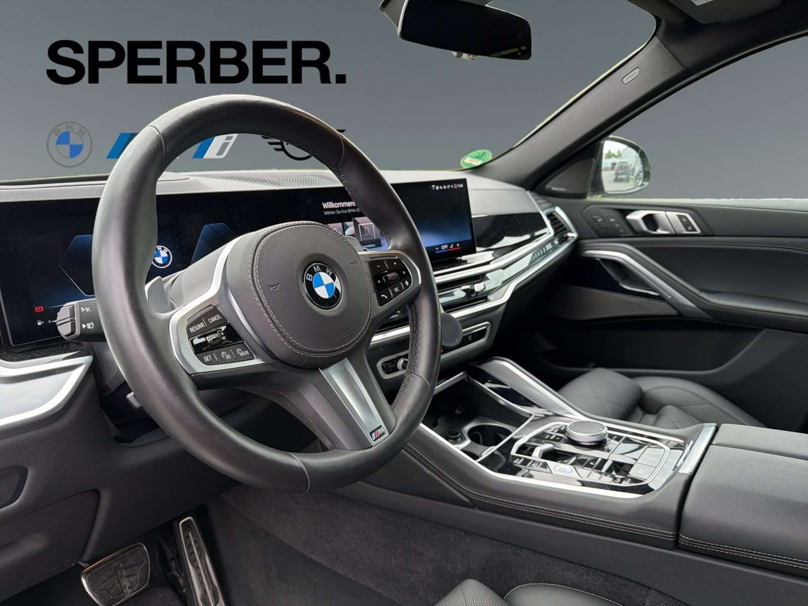 Fahrzeugbild eines BMW X6