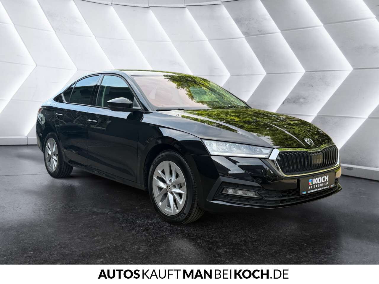 Fahrzeugbild eines Skoda Octavia