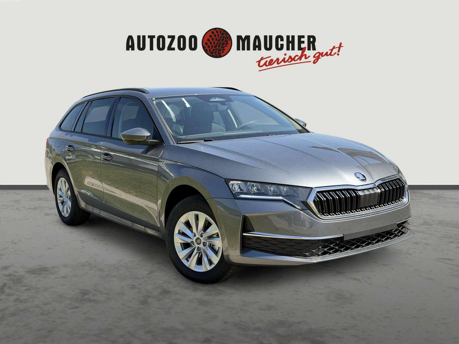 Fahrzeugbild eines Skoda Octavia