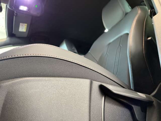 Fahrzeugbild eines CUPRA Leon