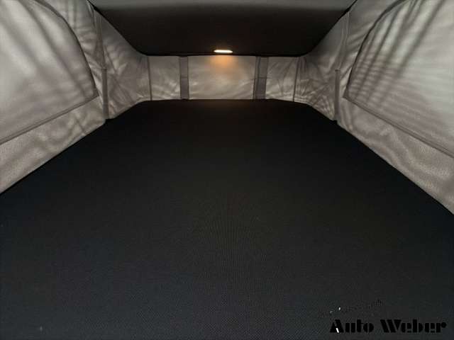 Fahrzeugbild eines Volkswagen California