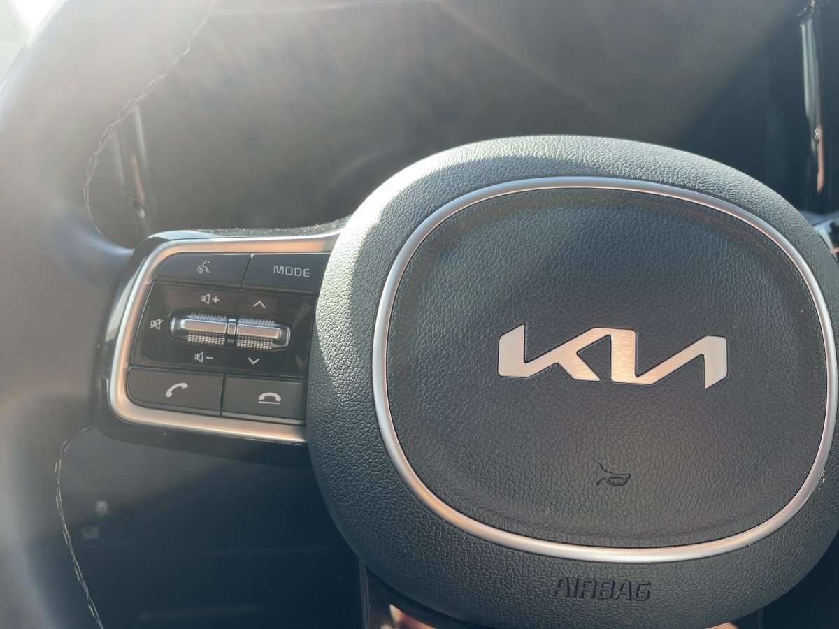 Fahrzeugbild eines Kia Sorento