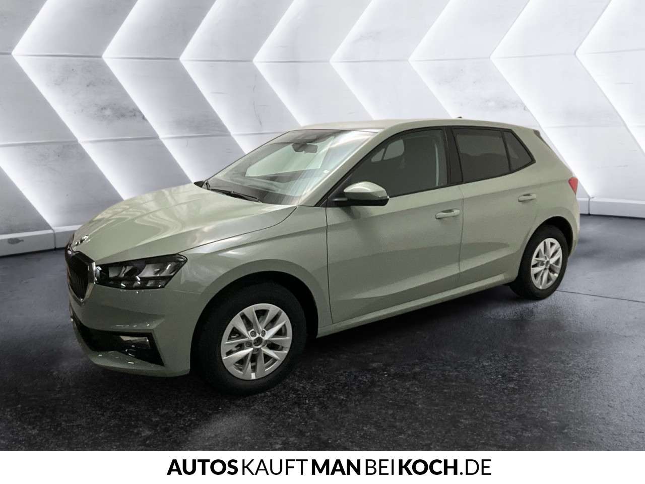 Fahrzeugbild eines Skoda Fabia