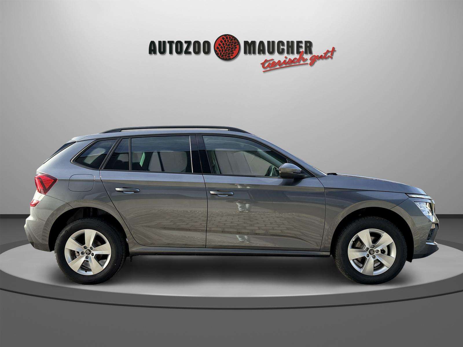 Fahrzeugbild eines Skoda Kamiq