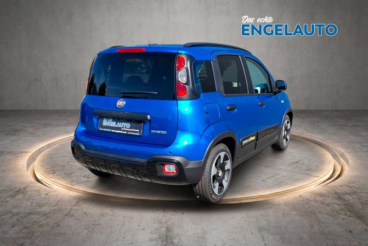 Fahrzeugbild eines Fiat Panda