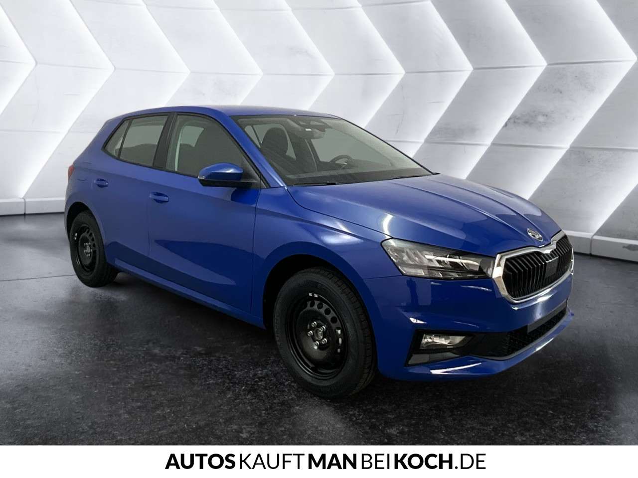 Fahrzeugbild eines Skoda Fabia