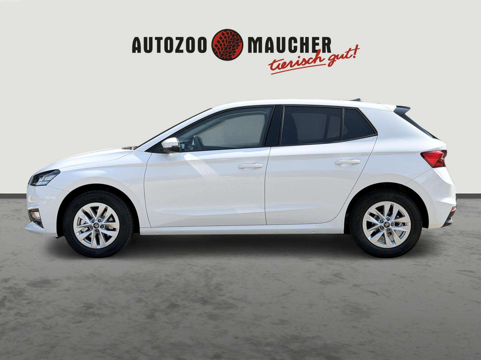 Fahrzeugbild eines Skoda Fabia
