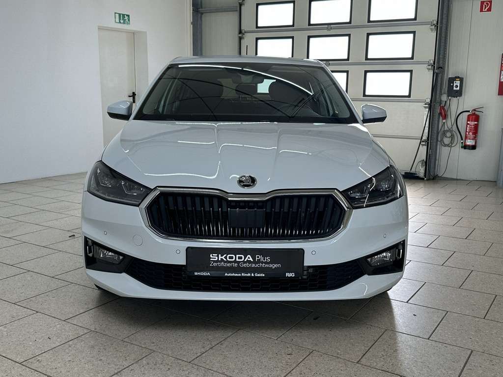 Fahrzeugbild eines Skoda Fabia