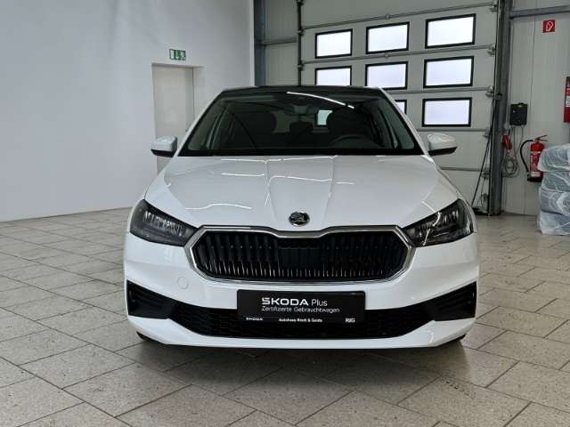 Fahrzeugbild eines Skoda Fabia