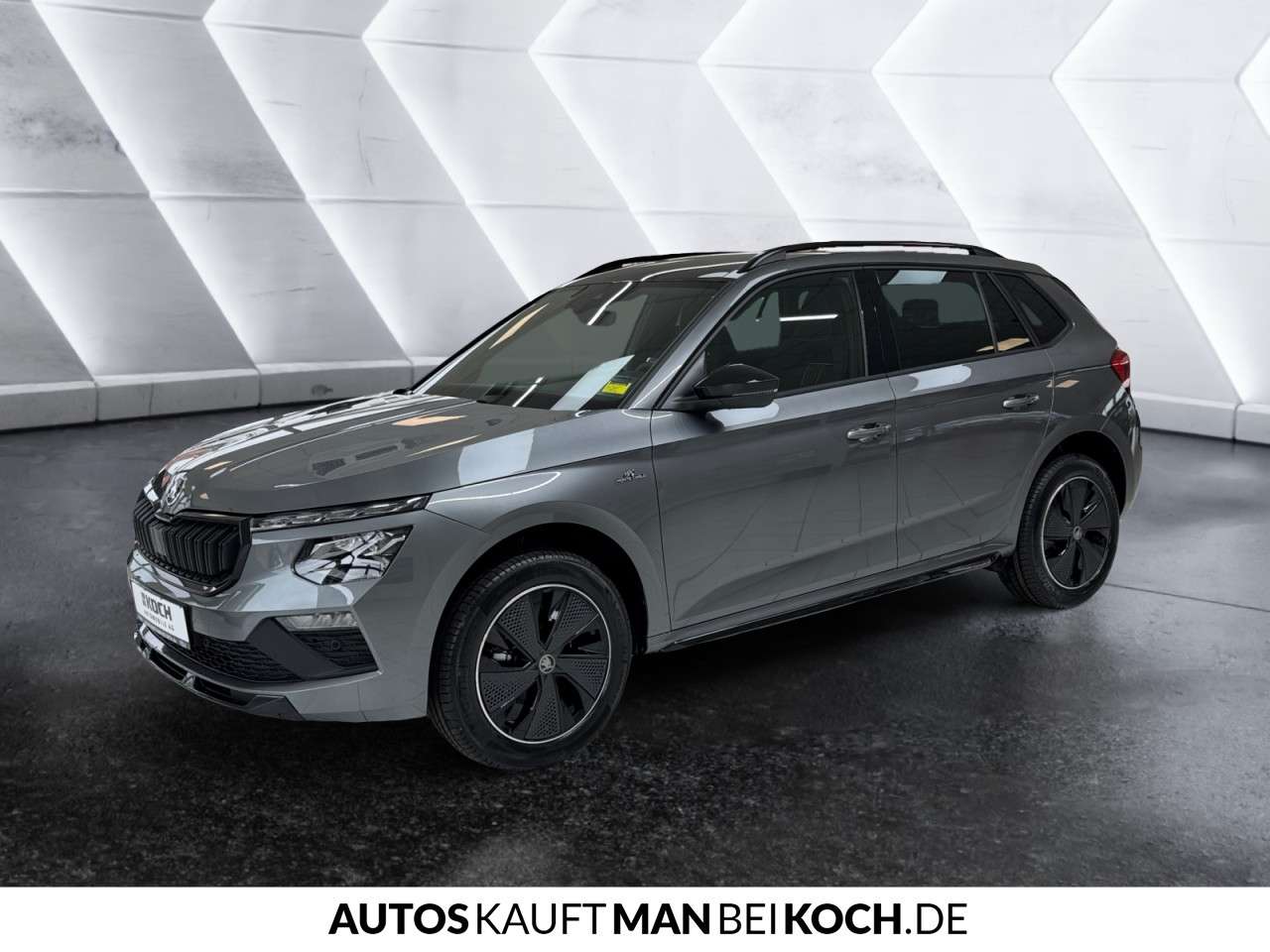 Fahrzeugbild eines Skoda Kamiq