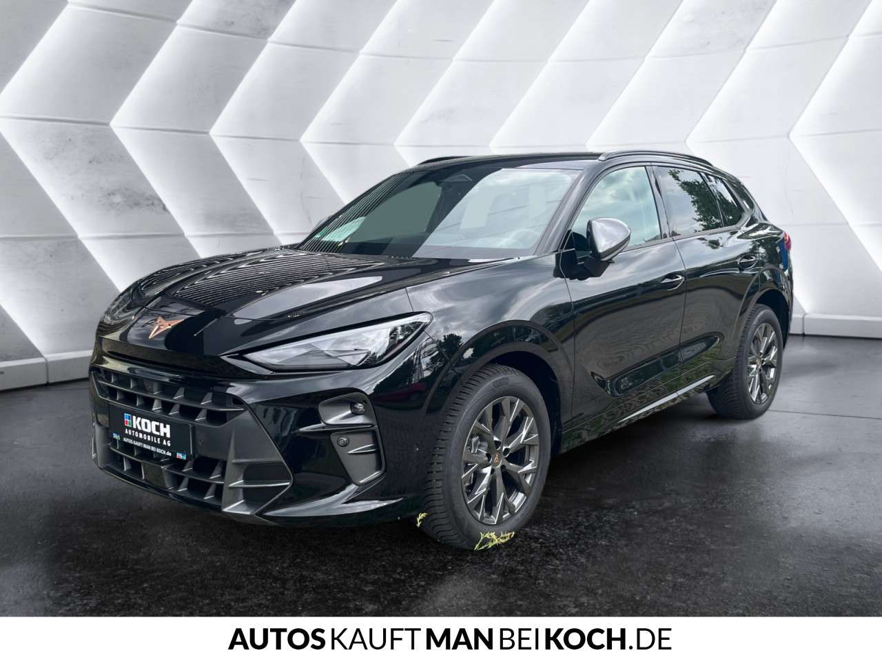 Fahrzeugbild eines CUPRA Terramar