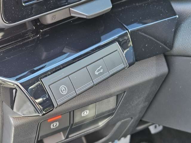 Fahrzeugbild eines Renault Rafale