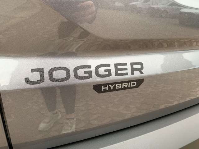 Fahrzeugbild eines Dacia Jogger