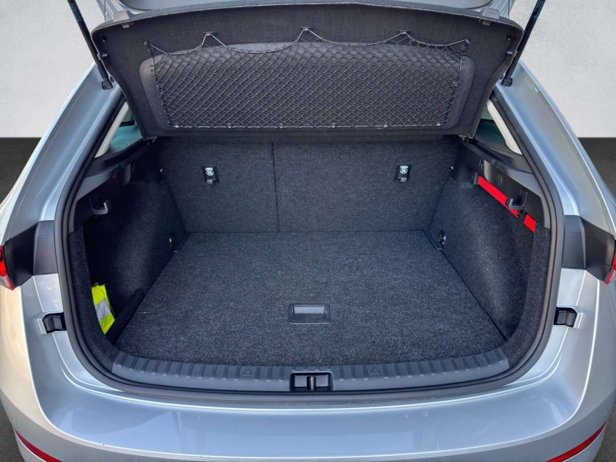 Fahrzeugbild eines Skoda Scala