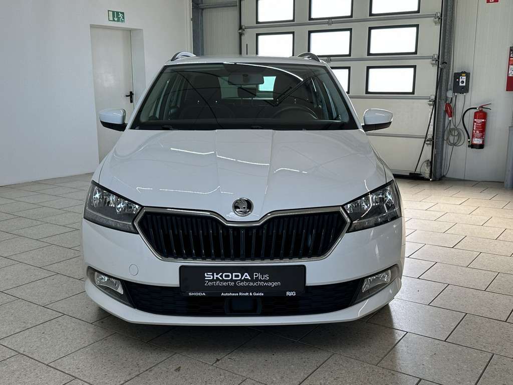 Fahrzeugbild eines Skoda Fabia
