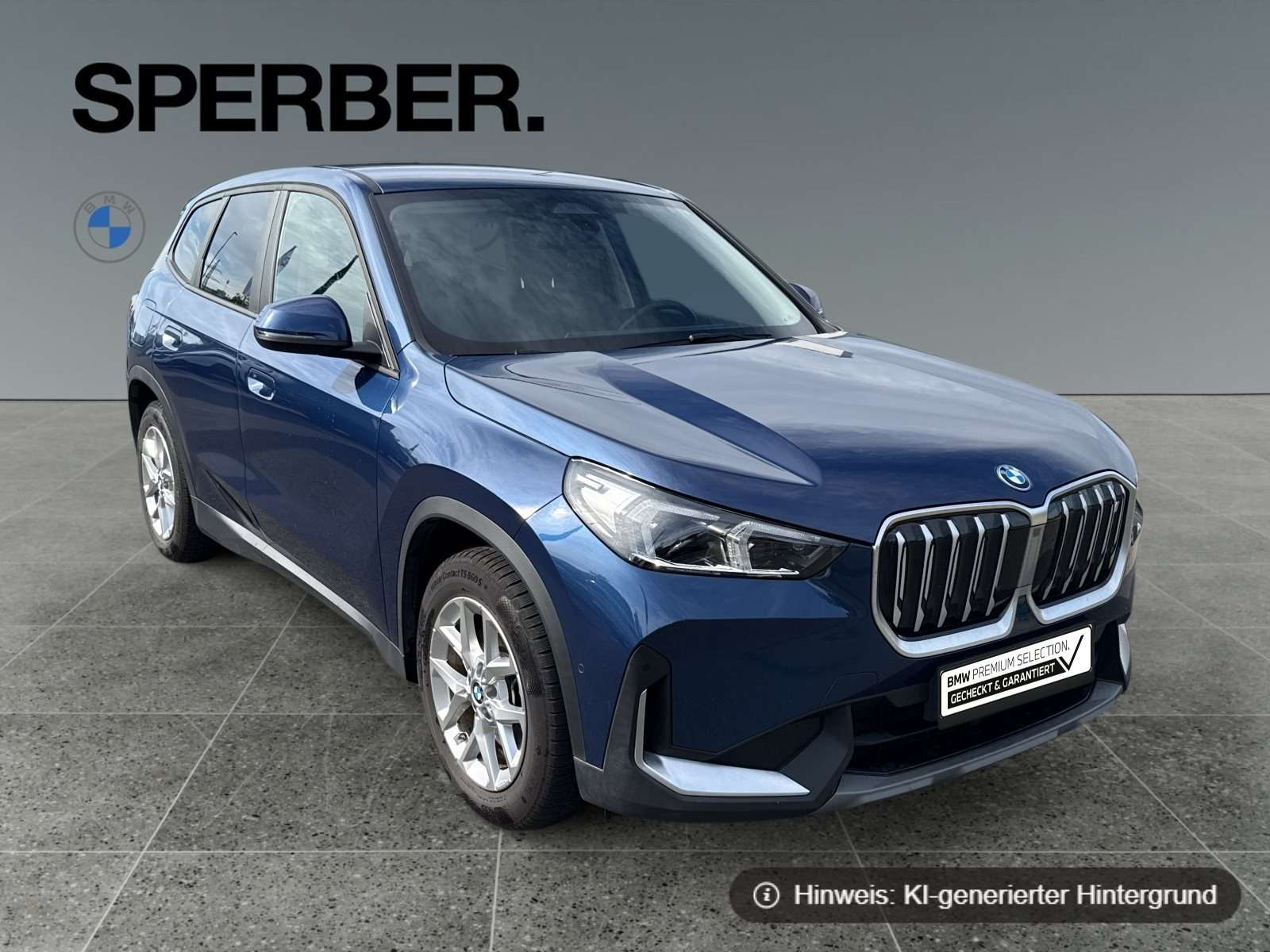 Fahrzeugbild eines BMW iX1