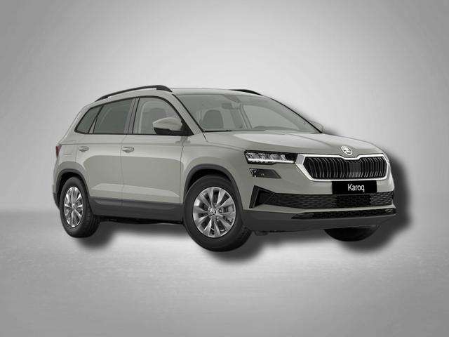 Fahrzeugbild eines Skoda Karoq